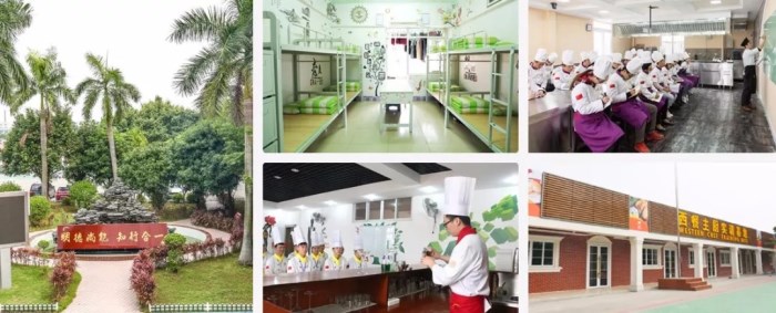 这里有一份礼物 请点击领取新东方送你的圣诞福利~ 这里有一份礼物 请点击领取新东方送你的圣诞福利~