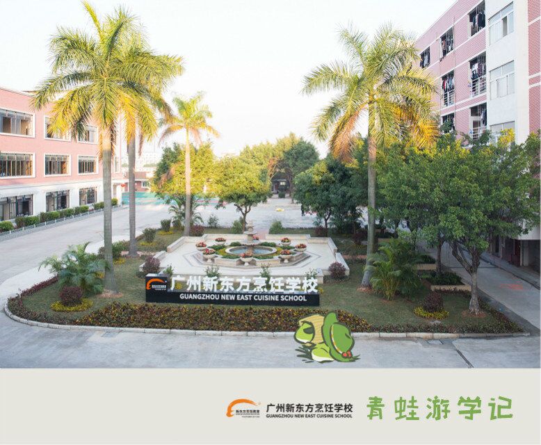 风靡全球的旅行青蛙来广州新东方啦!(附上全套珍藏明信片) 风靡全球的旅行青蛙来广州新东方啦!(附上全套珍藏明信片)