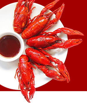 2020年不想打工学什么好