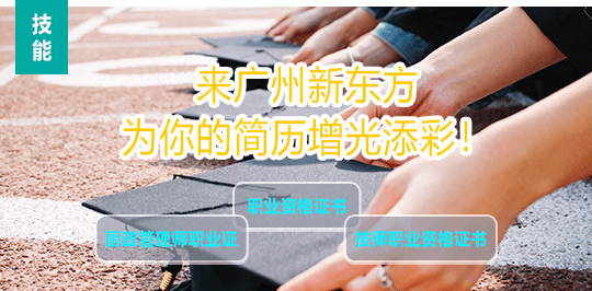 广东省单招院校