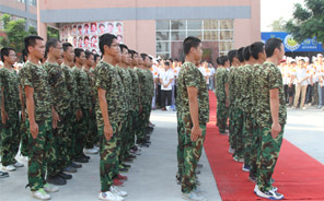 ��ѵ�㱨����