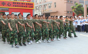 ��ѵ�㱨����