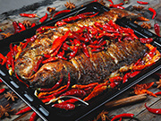 退伍后学什么比较好