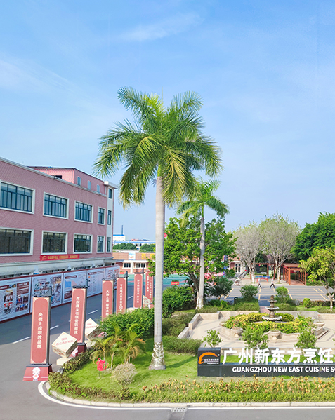 广州烹饪培训班